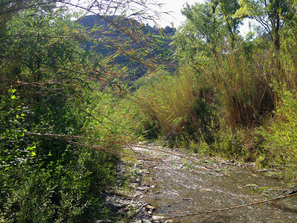 Most low Alpujarras rivers never dry